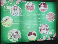 -茶油香闽南菜·花园餐厅(前埔店)