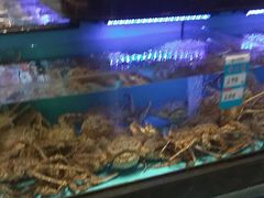 -阿伟海鲜楼·福建菜(延寿店)