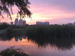 -前关湿地公园