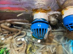 -V-ONE西雅图海鲜自助餐厅(仓山万达广场店)