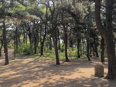 -高尔山公园