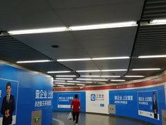 -大望路(地铁站)