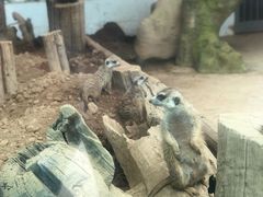 -西安秦岭野生动物园