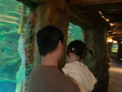 -长鹿旅游休博园