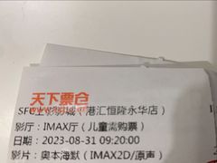 -SFC上影影城(港汇永华IMAX激光店)