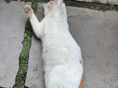 -广州兰圃