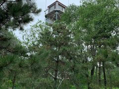 -绿堤公园