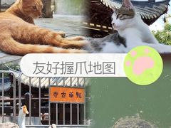 -龙华素斋(龙华路店)