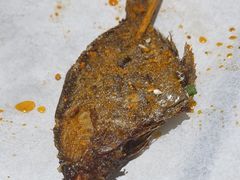 -小杨烤肉(朱雀店)