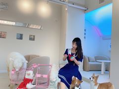-怪兽屋·羊驼·猫咖·狗咖(俊华广场店)