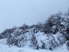 -太子岭滑雪场