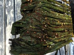 -白阿婆过油肉拌面·大盘鸡