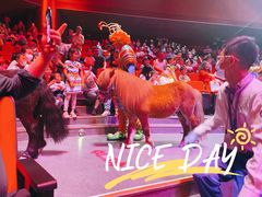 -珠海横琴长隆《卡卡虎奇遇记》