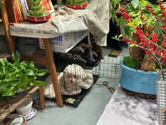 -何兮花店·气球派对鲜花店(马桥银春路万科城店)