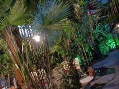 -大鹅岛绿色生态美食园