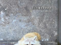 -昆明青龙峡风景区