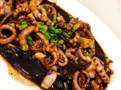 酱爆八爪鱼-阿弟仔海鲜