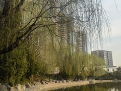 -团结湖公园