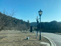 -龙寺生态园