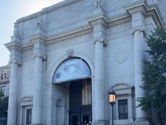 -美国自然历史博物馆