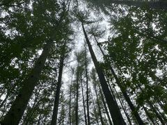 -洛阳白云山景区