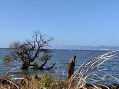 -呈贡滇池生态湿地公园