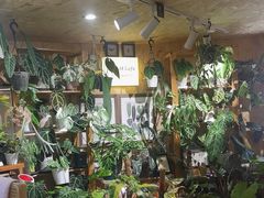 -Rabbit Cafe私房西餐甜点咖啡(栖霞路店)