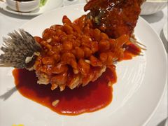 松鼠桂鱼-洋洋中餐馆·SINCE 1997(信投店)