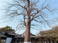 -常熟方塔园