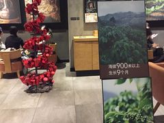 -星巴克臻选(重庆沙坪坝店)