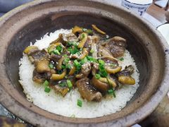-红星光发煲仔饭(大石街店)