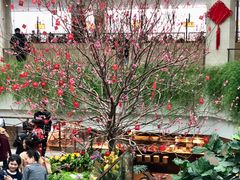 -广州白天鹅宾馆