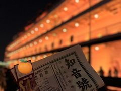 -武汉知音号