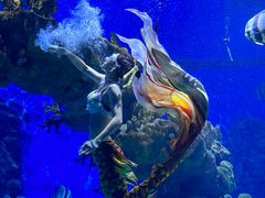 -海合安武汉极地海洋公园