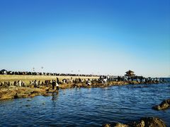 -青岛海滨风景区小青岛