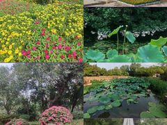-宝鸡植物园