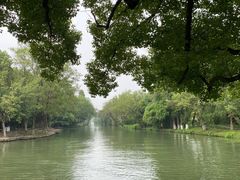 -西溪国家湿地公园