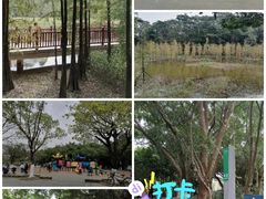 -番禺大夫山森林公园