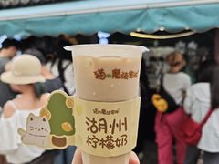 -猫的魔法密林(衣裳街店)