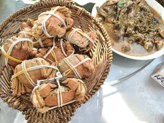 -渔娘蟹庄(阳澄湖莲花岛店)