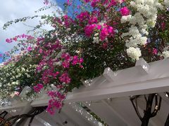 -三亚南山文化旅游区