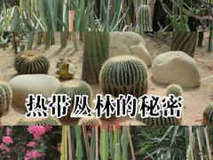 -祥源·阜阳生态乐园