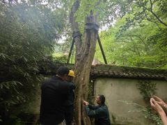 -上海佘山国家森林公园西佘山园