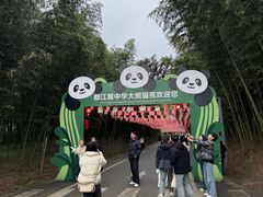 -都江堰中华大熊猫苑
