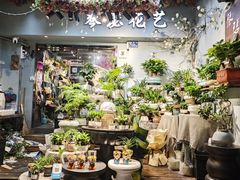 -循礼门鲜花花市(武汉循礼门店)
