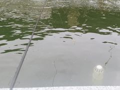 -DGE季风钓虾营地·团建·聚会