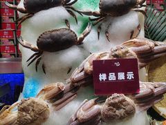 -初色海鲜自助(万丰路店)
