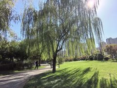 -木塔寺遗址生态公园