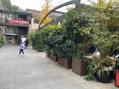 -月圆霖特色农家乐