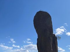 -磬锤峰森林公园